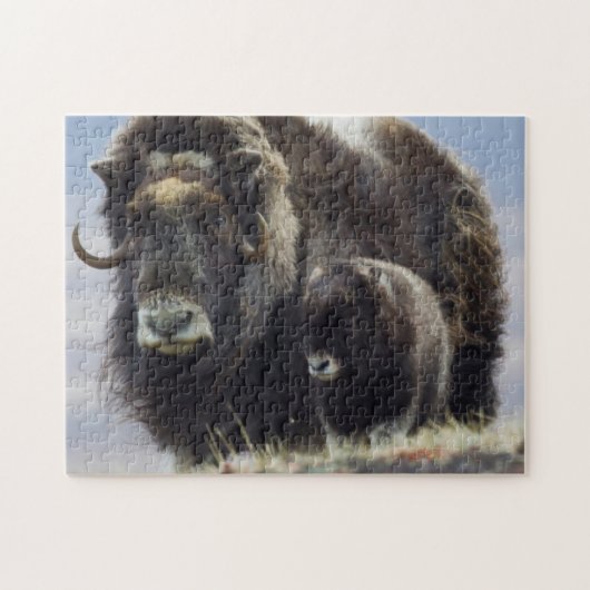 Moschusochse mit Kalb Puzzle (Horizontal)