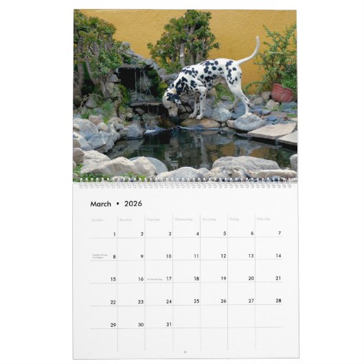 Mose und Ty Kalender 2019 (Mär 2026)