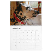 Mose und Ty Kalender 2019 (Feb 2027)
