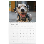 Mose und Ty Kalender 2019 (Jan 2027)