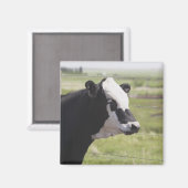 Moseleigh, Alberta, Kanada Magnet (Vorderseite/Rückseite)
