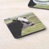 Moseleigh, Alberta, Kanada Untersetzer (Linke Seite)