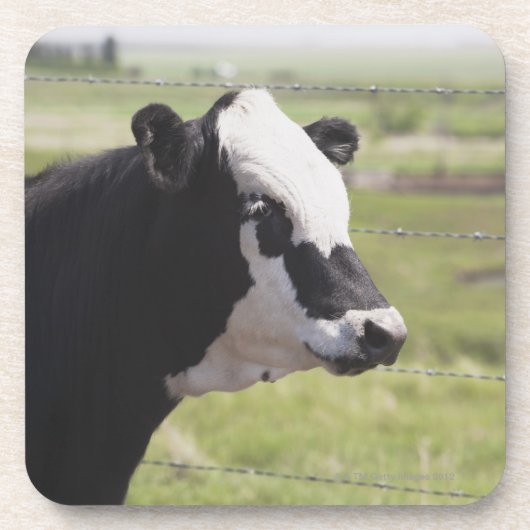 Moseleigh, Alberta, Kanada Untersetzer (Vorderseite)