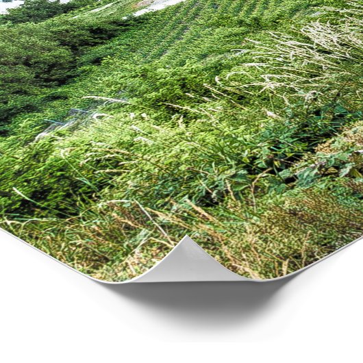 Moselle Loop Sunset Kroev Panorama Deutschland Poster (Ecke)