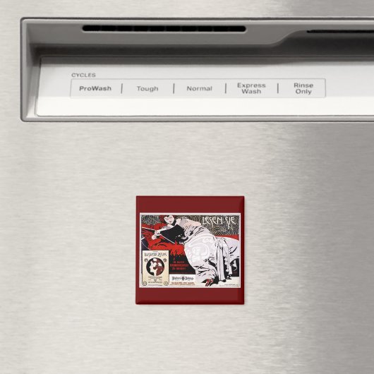 Moser Kolo 1900 - Lesen Sie" Magnet (In Situ (Geschirrspüler))