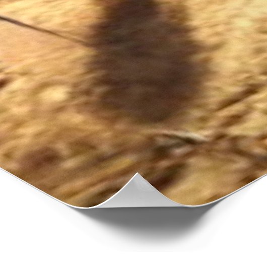 Moses Parting the Red Sea Poster (Ecke)