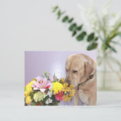 Moses Riecht Blume Postkarte (Stehend Vorderseite)