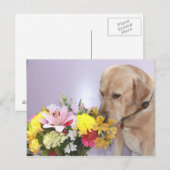 Moses Riecht Blume Postkarte (Vorne/Hinten)