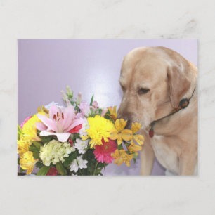 Moses Riecht Blume Postkarte