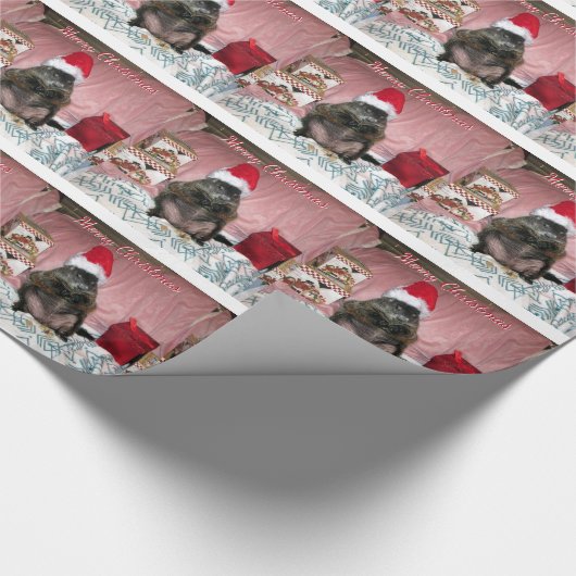 Moses-WeihnachtsPackpapier Geschenkpapier (Ecke)