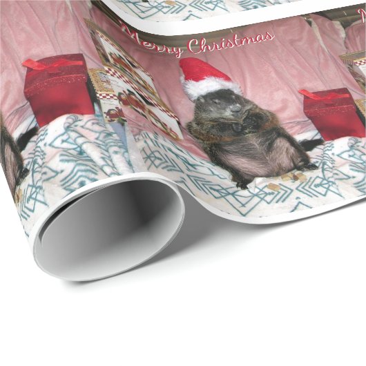 Moses-WeihnachtsPackpapier Geschenkpapier (Rolleneckpunkt)