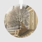 Moskau. Winter. Löwenskulptur Ornament (Rückseite)