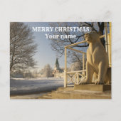 Moskau. Winter. Löwenskulptur Postkarte (Vorderseite)