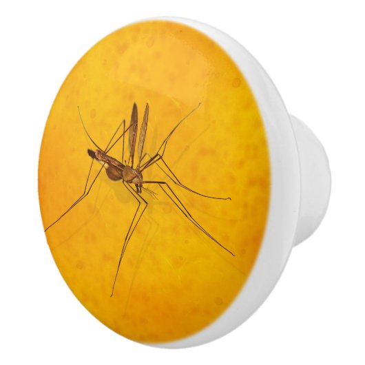 Moskito, Bernsteinfarben Fossilienmuseum Keramikknauf (Rechts)