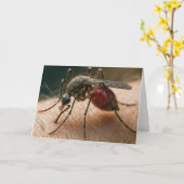 Moskito Birthday Spaß Karte (Gelbe Blume)