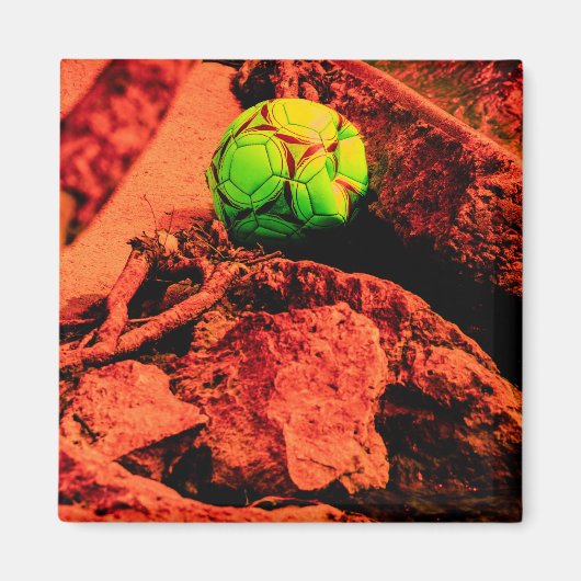 Moskito-Entdecker Magnet (Vorne)