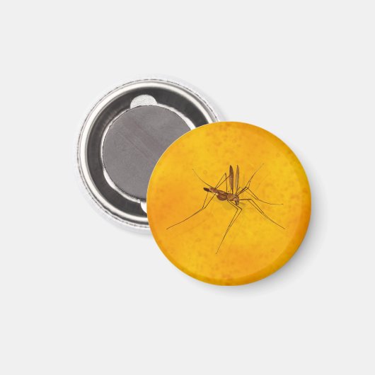 Moskito in Amber Sap Fossilienmuseum Magnet (Vorderseite/Rückseite)