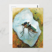 Moskito Sommergenuss Postkarte (Vorne/Hinten)