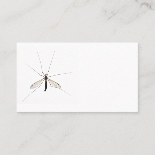 Moskito Visitenkarte (Vorderseite)