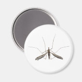 Mosquito Magnet (Vorderseite/Rückseite)