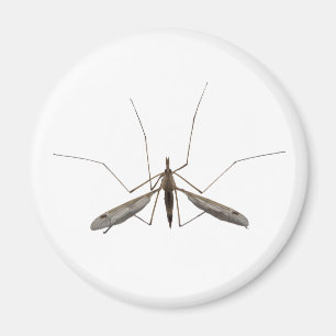 Mosquito Magnet