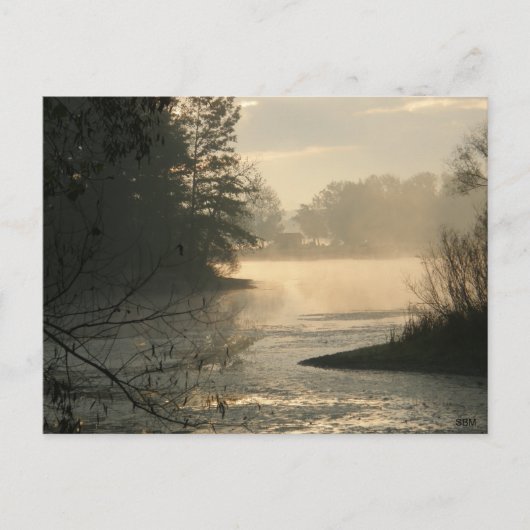 Mosquito See-Staats-Park-Postkarte Postkarte (Vorderseite)