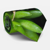 Moss Abstrakt Neck Tie Krawatte (Gerollt)