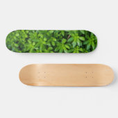 Moss Abstrakt Skateboard (Horizontal)