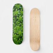 Moss Abstrakt Skateboard (Vorderseite)