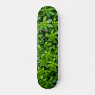 Moss Abstrakt Skateboard