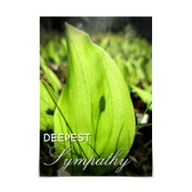 Moss and Dogwood Card "Deepest Beileid"
