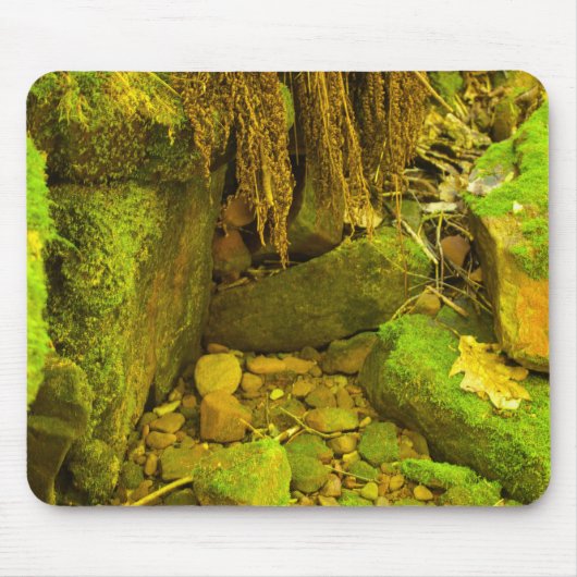 Moss and Stone – Hungarian Falls, Upper Peninsula Mousepad (Vorne)