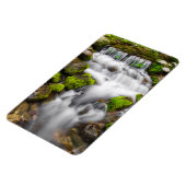 Moss Around Fern Spring Magnet (Linke Seite)