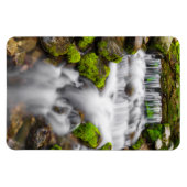 Moss Around Fern Spring Magnet (Horizontal)