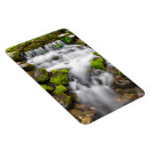 Moss Around Fern Spring Magnet (Rechte Seite)