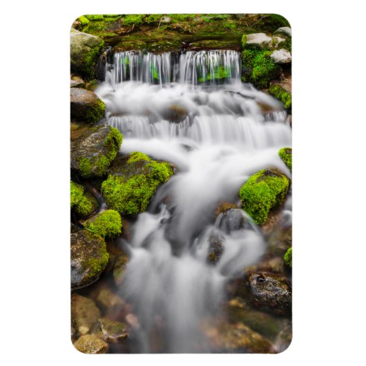 Moss Around Fern Spring Magnet (Vertikal)