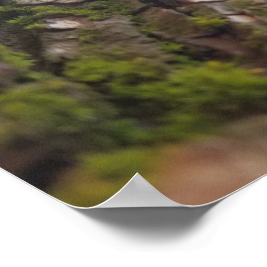 Moss auf Bark Poster (Ecke)