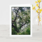Moss Canopy Grußkarte Karte (Gelbe Blume)