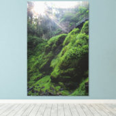 Moss Covered Rocks Canvas Print Leinwanddruck (Insitu (Holzboden))