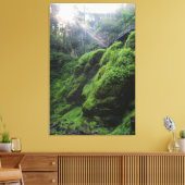 Moss Covered Rocks Canvas Print Leinwanddruck (Insitu (Wohnzimmer))