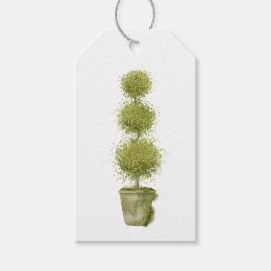 Moss Covered Topiary Gift Tag Geschenkanhänger (Vorderseite)