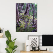 Moss Covered Trail Poster (Heimbüro)