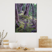 Moss Covered Trail Poster (Küche)