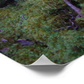 Moss Covered Trail Poster (Ecke)