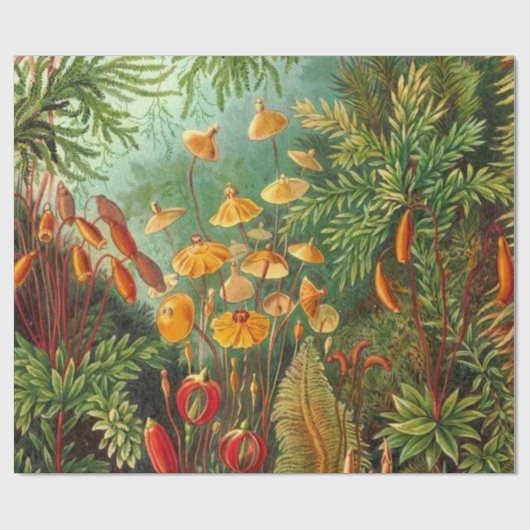 Moss - Ernst Haeckel Geschenkpapier (Flach)