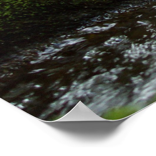 Moss Falls Poster (Ecke)