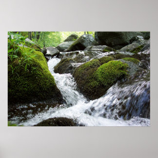 Moss Falls Poster