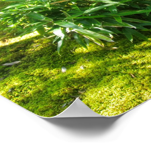 Moss Garden Poster (Ecke)
