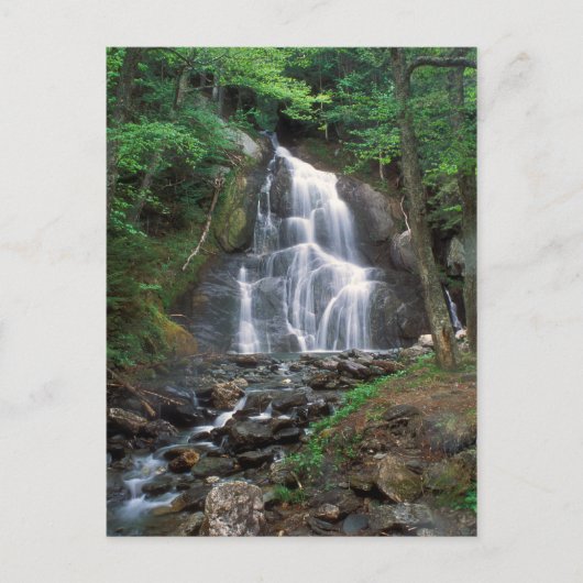 Moss Glen Falls Green Mountains Vermont Postkarte (Vorderseite)
