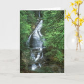 Moss Glen Falls Stowe Vermont Karte (Gelbe Blume)